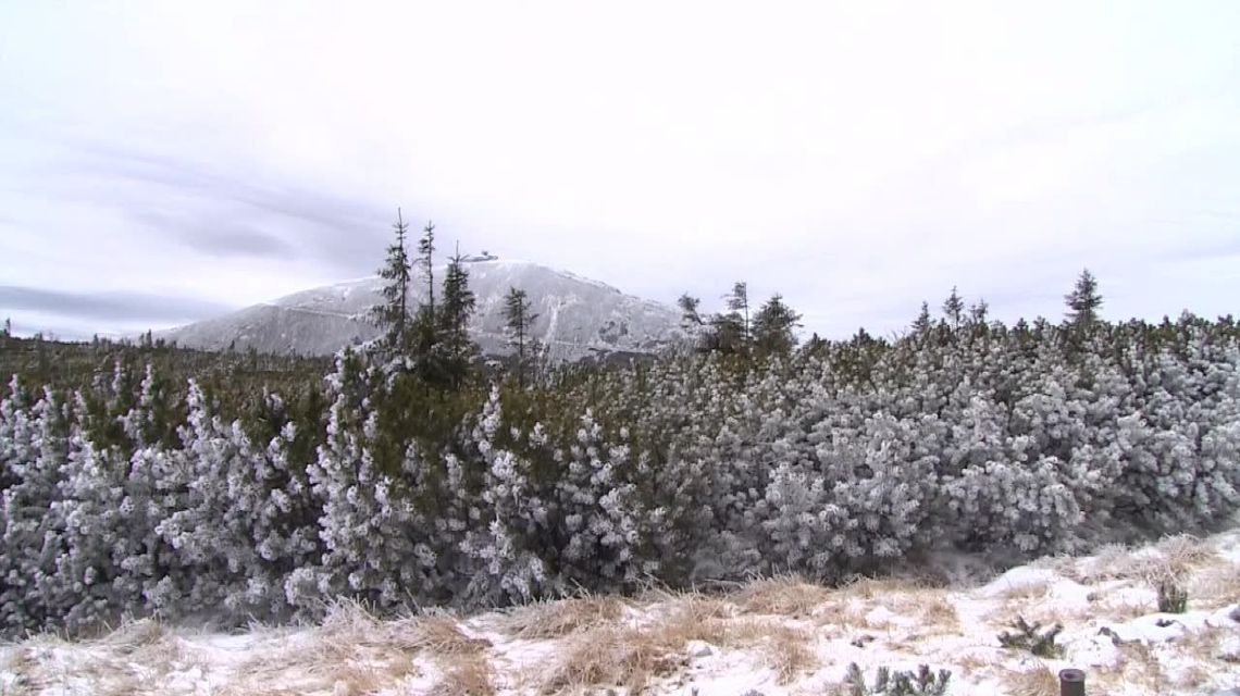 Chcieli wejść na Śnieżkę w... szortach i bikini. GOPR zareagowało w porę Chcieli wejść na Śnieżkę w... szortach i bikini. GOPR zareagowało w porę