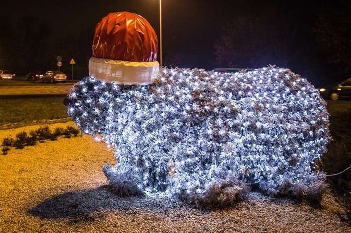 Chełm gotowy na święta. Świecący miś na rondzie