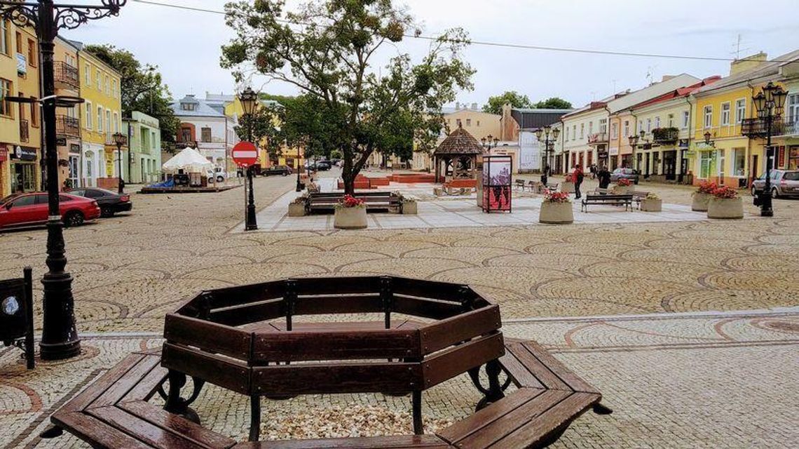 Chełm: Kiedy uschną ostatnie drzewa na pl. Łuczkowskiego? Porasta je pasożyt Chełm: Kiedy uschną ostatnie drzewa na pl. Łuczkowskiego? Porasta je pasożyt