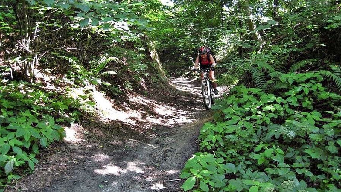 Chełm: Nowe ścieżki dla rowerzystów i spacerowiczów