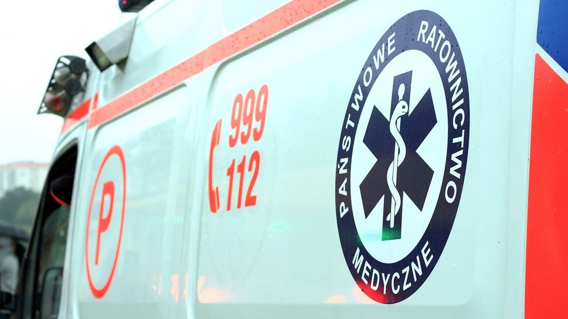 Chełm: Przyszła nakarmić psy znajomego. Dotkliwie ją pogryzły