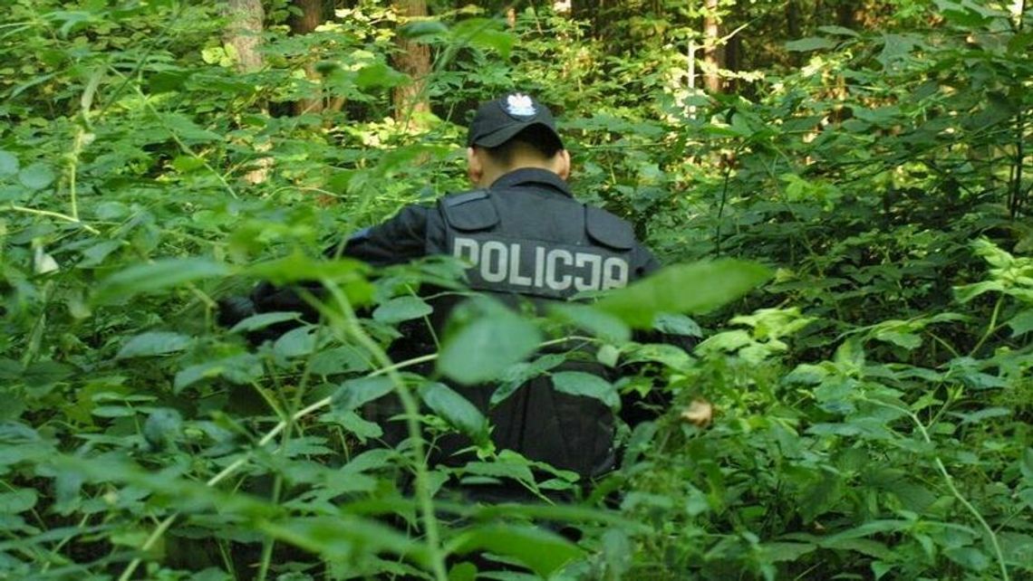 Chełm: Rodzina zgłosiła zaginięcie. Finał poszukiwań w lesie Chełm: Rodzina zgłosiła zaginięcie. Finał poszukiwań w lesie