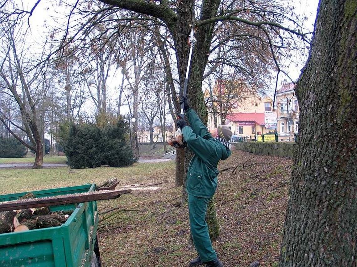 Chełm: Służby nie muszą odśnieżać. Za to pracują w parku