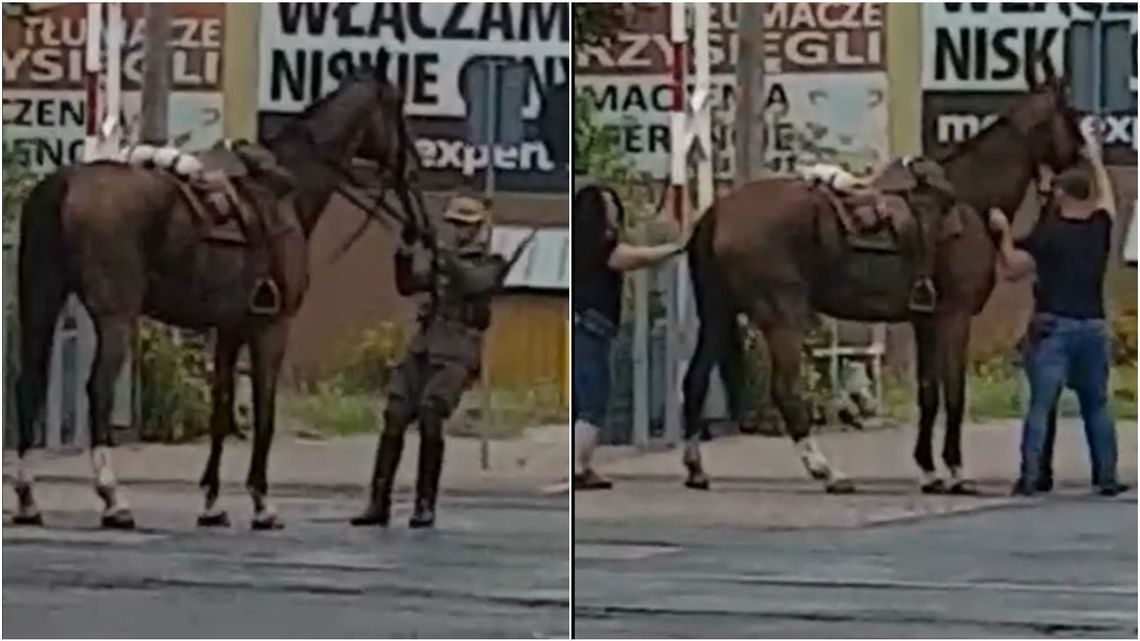 Chełm: Ułan w kłopocie, bo koń zaparł się na torach. Zaczęły zamykać się rogatki [wideo]