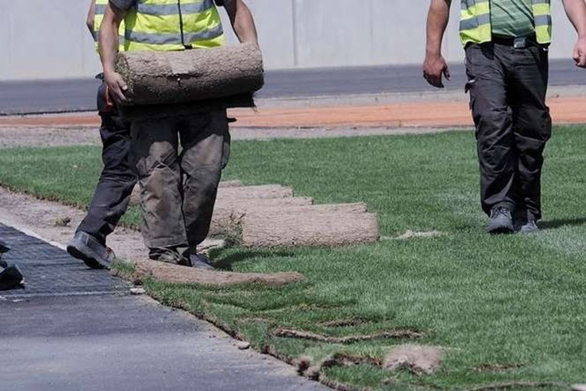 Chełm: W mieście będzie bardziej zielono