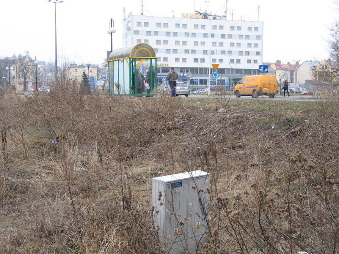 Chełm: Właściciele posesji muszą posprzątać po zimie, inaczej grzywny