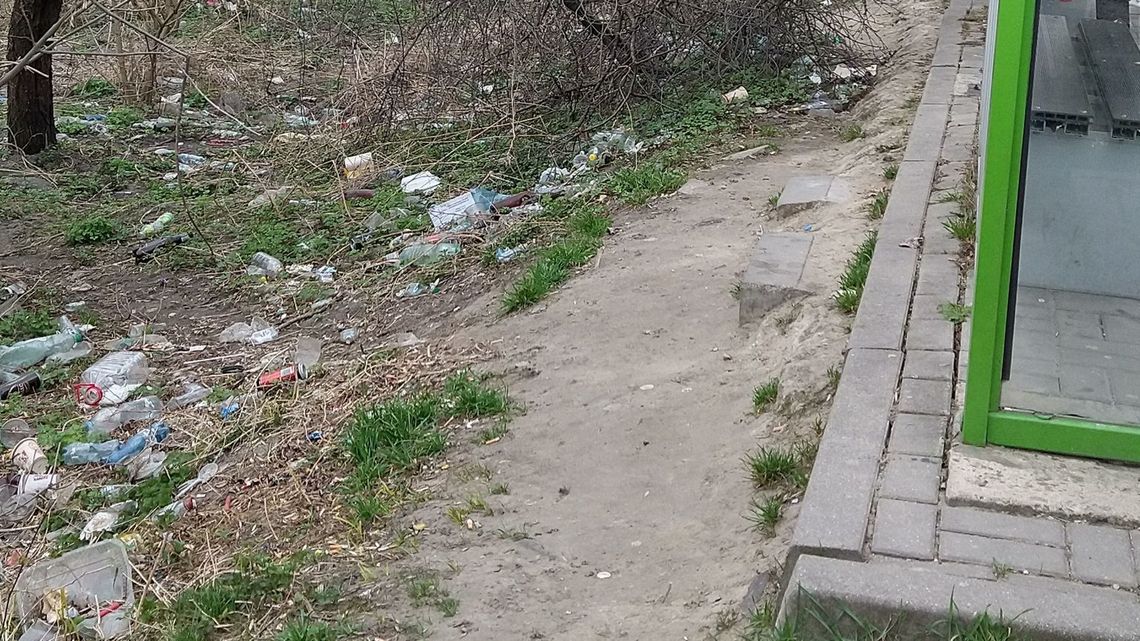  Chełm. Zbierali butelki za przystankiem. Było ich naprawdę sporo