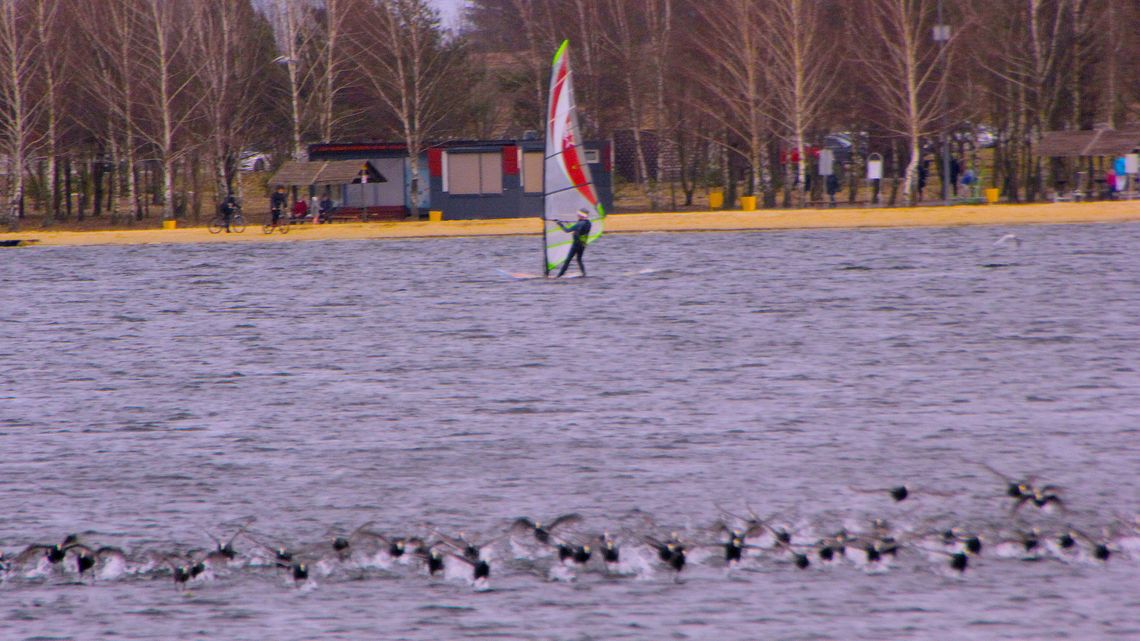 Chełm: Zdążyć przed lockdownem. Ostatni rejs po Żółtańcach