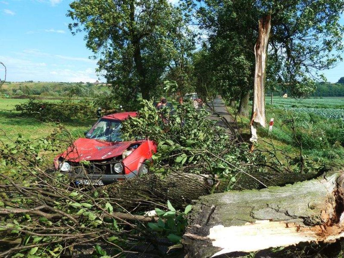 Chelmno: tragiczne skutki nawałnicy - drzewo przygniotło auto