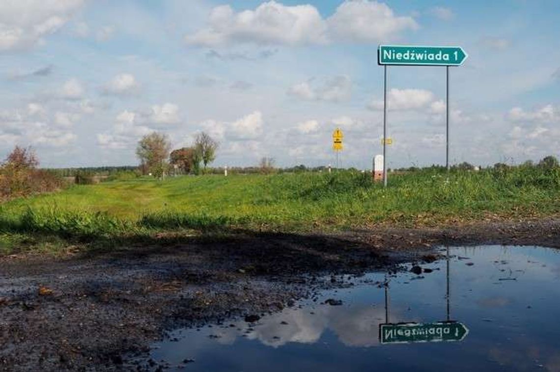 Chińczycy będą wydobywać bursztyn pod Lublinem? Już oglądali pola