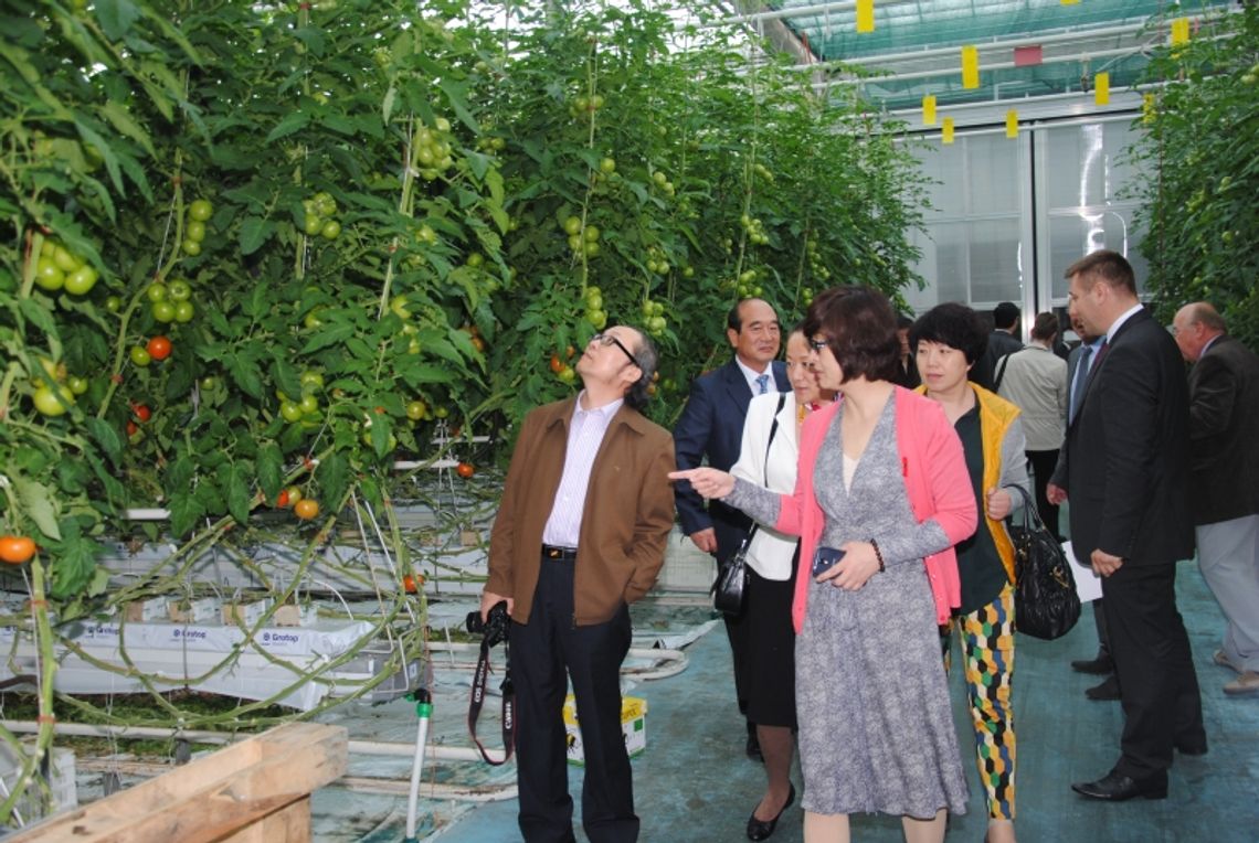 Chińczycy chcą inwestować w Międzyrzecu Podlaskim