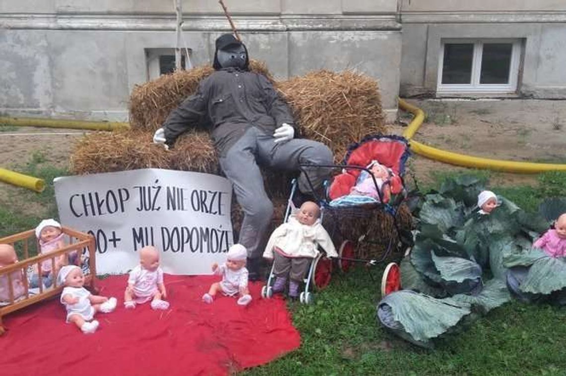 "Chłop już nie orze, 500+ mu dopomoże”. Oryginalna dekoracja dożynkowa