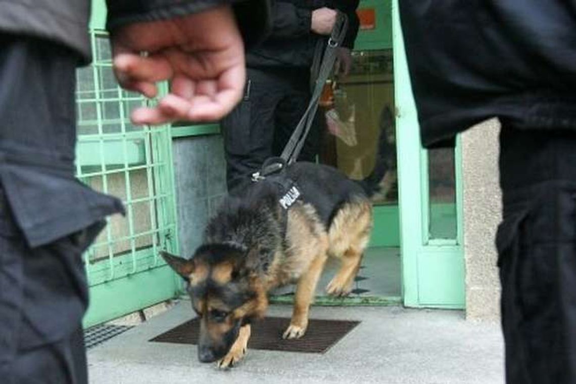 Chłopca szukało kilkadziesiąt osób, pies tropiący i straż graniczna. Schował się pod materacem