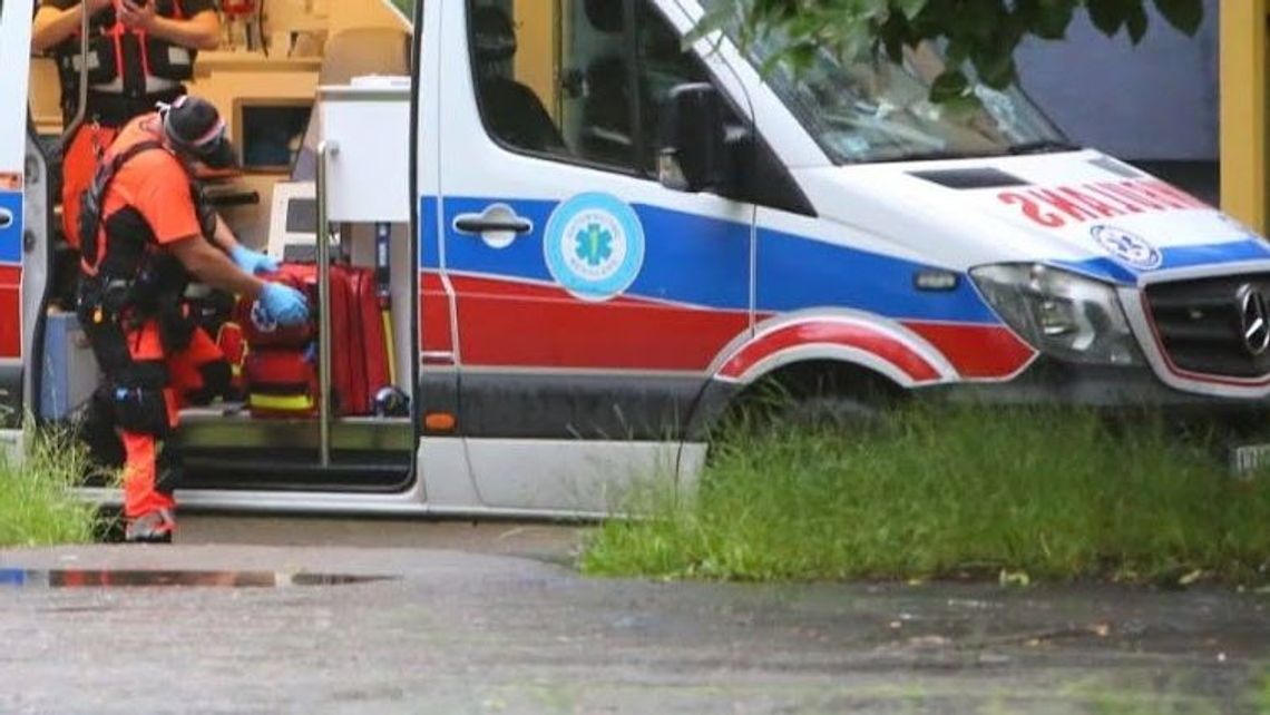 Chłopiec już tracił przytomność. Owad ukąsił go w okolicach gardła Chłopiec już tracił przytomność. Owad ukąsił go w okolicach gardła