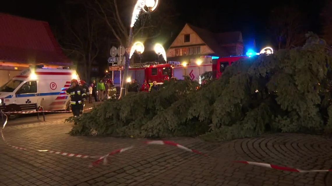 Choinka w Zakopanem przewróciła się na przechodniów. Jedna osoba trafiła do szpitala z otwartym złamaniem