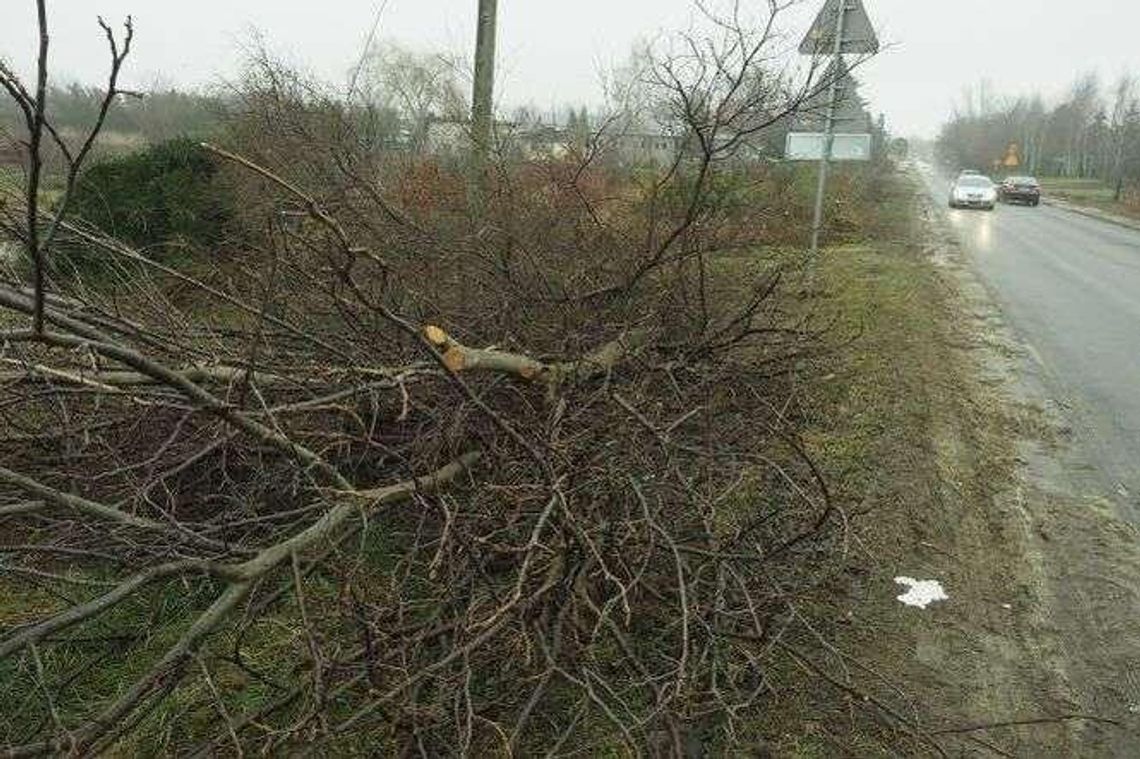 Choiny: Przebudowa drogi. Zniknie 18 budynków i 200 drzew [zdjęcia]