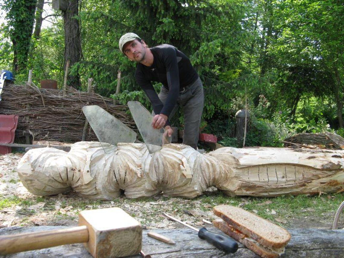Chrząszcze ze złomu i odpadów w plenerowej galerii w Szczebrzeszynie
