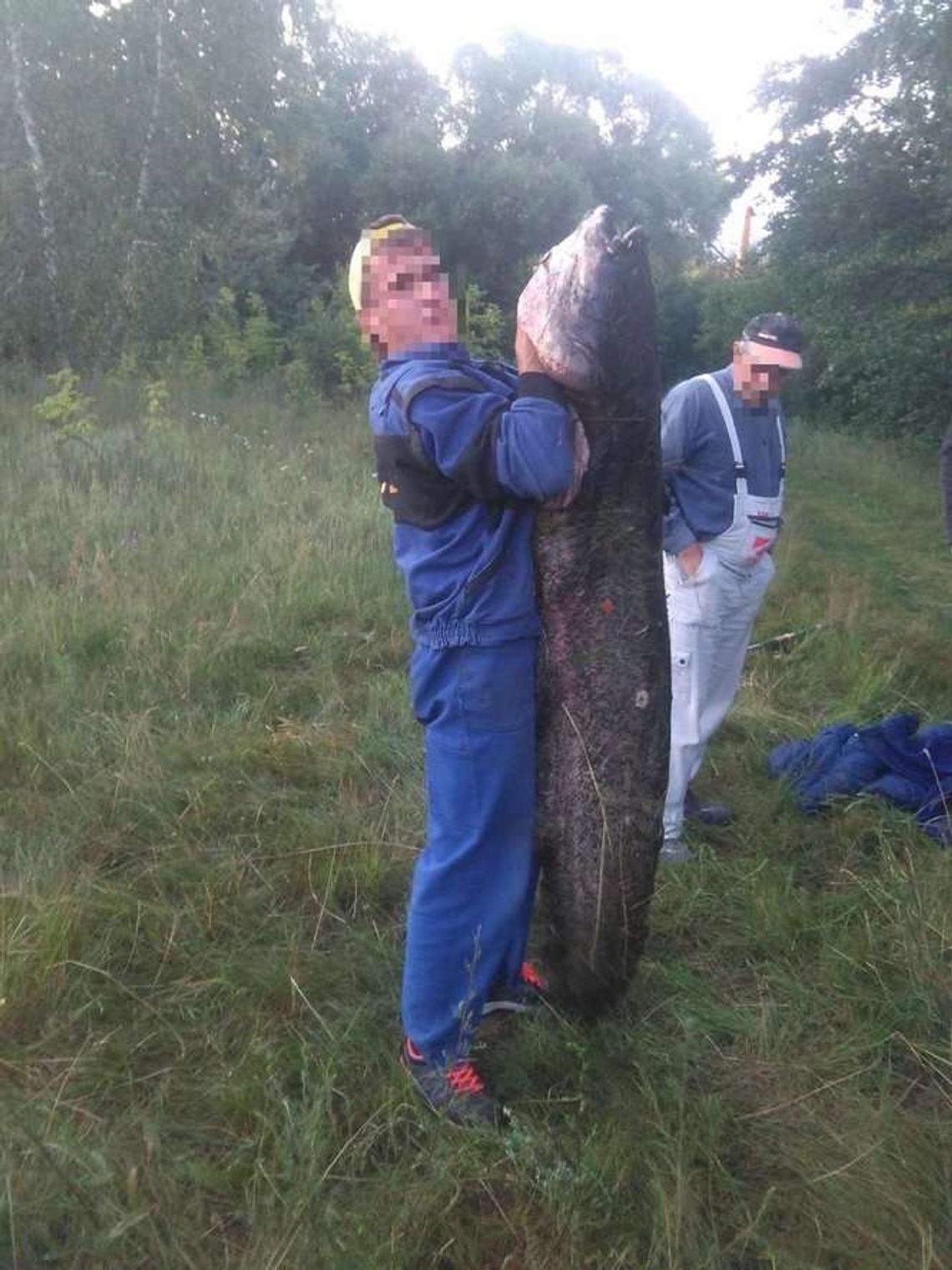 Chwalił się w internecie gigantycznym sumem. Okazało się, że to nie on go złowił