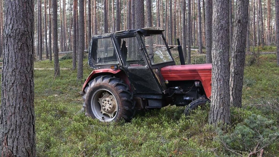 Ciało mężczyzny w lesie koło Biłgoraja Ciało mężczyzny w lesie koło Biłgoraja