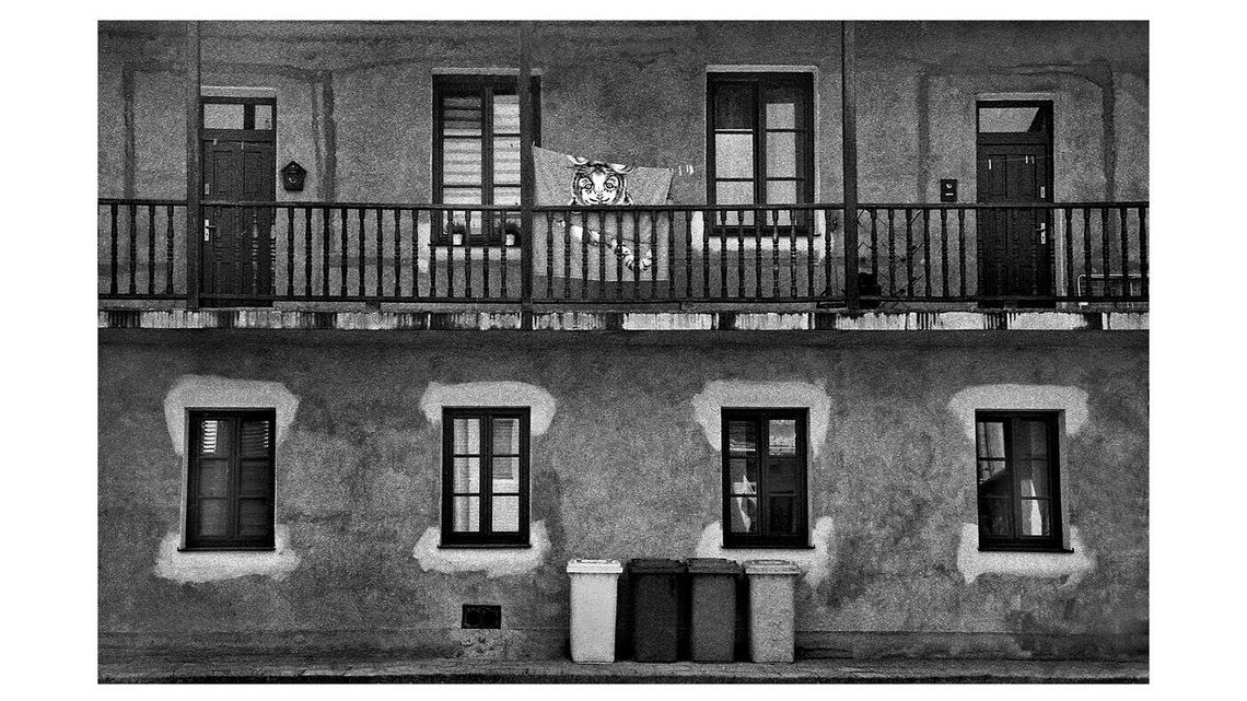 Cichy Zamość - wystawa, spotkanie i prezentacja książki Andrzeja Pogudza