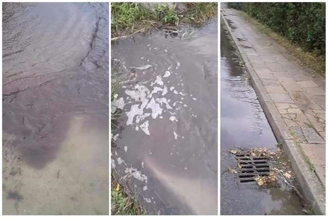 Ciemna plama na jeziorze Firlej. Skąd się wzięły ścieki? Urzędnik: "To nic nadzwyczajnego"