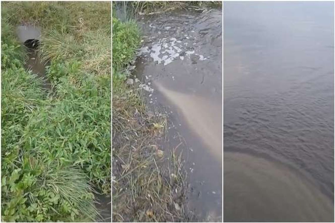 Ciemne ścieki z kanalizacji burzowej prosto do jeziora Firlej. Kary nie będzie