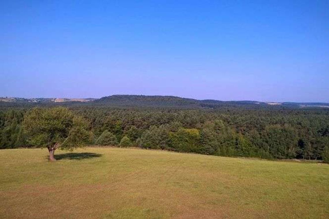 Ciepło, coraz cieplej. Tak zmienia się klimat na Roztoczu Ciepło, coraz cieplej. Tak zmienia się klimat na Roztoczu