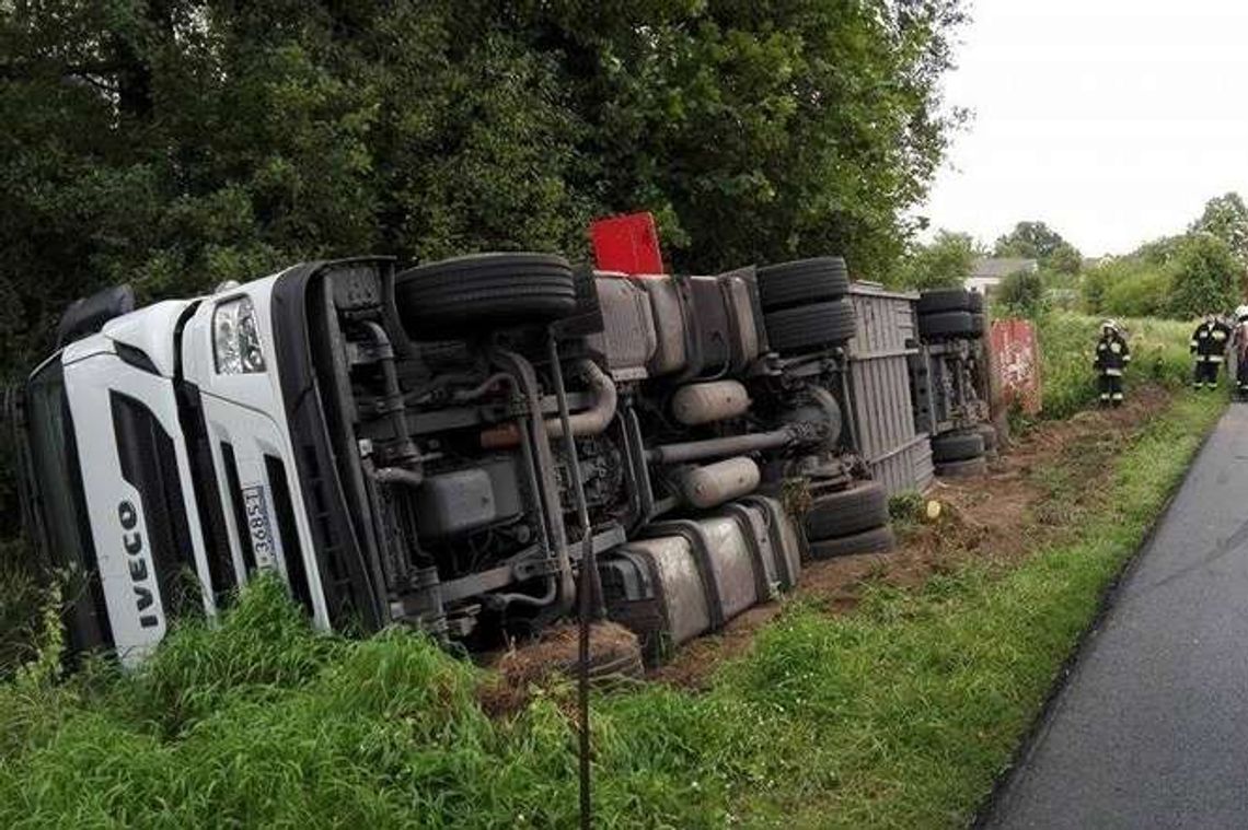 Ciężarówka w rowie, przewoziła 25 byków (wideo)