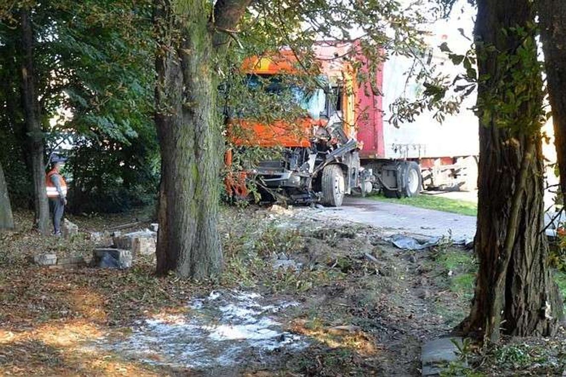 Ciężarówka wjechała do parku. Kierowca zasłabł