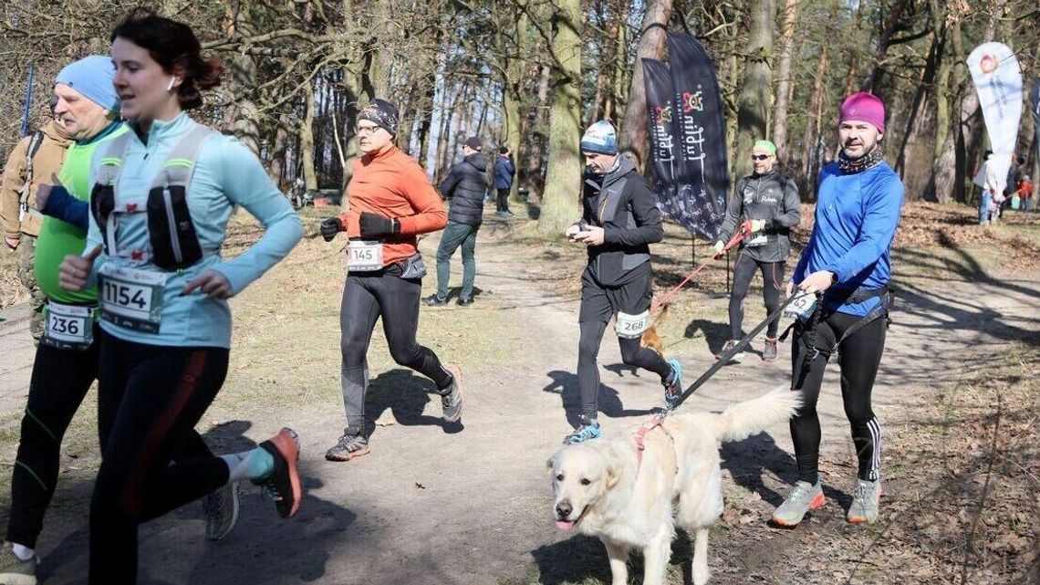 City Trail. Pobiegli po raz ostatni City Trail. Pobiegli po raz ostatni