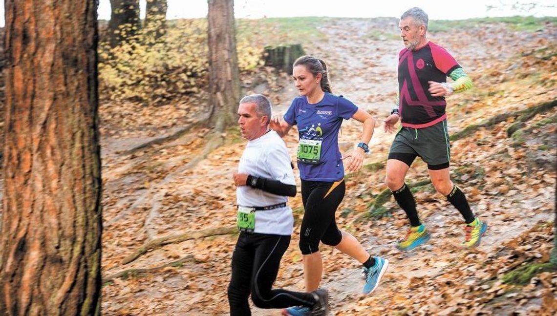 City Trail z Nationale-Nederlanden. Startują po raz siódmy City Trail z Nationale-Nederlanden. Startują po raz siódmy