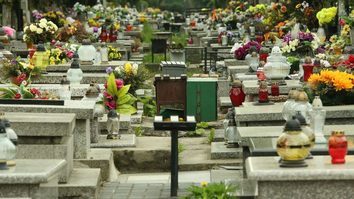 Cmentarze w Lublinie. Na jednym kolumbarium, na drugim nowe alejki Cmentarze w Lublinie. Na jednym kolumbarium, na drugim nowe alejki