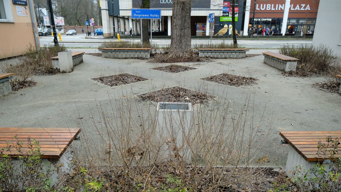 Co chcecie zazielenić?