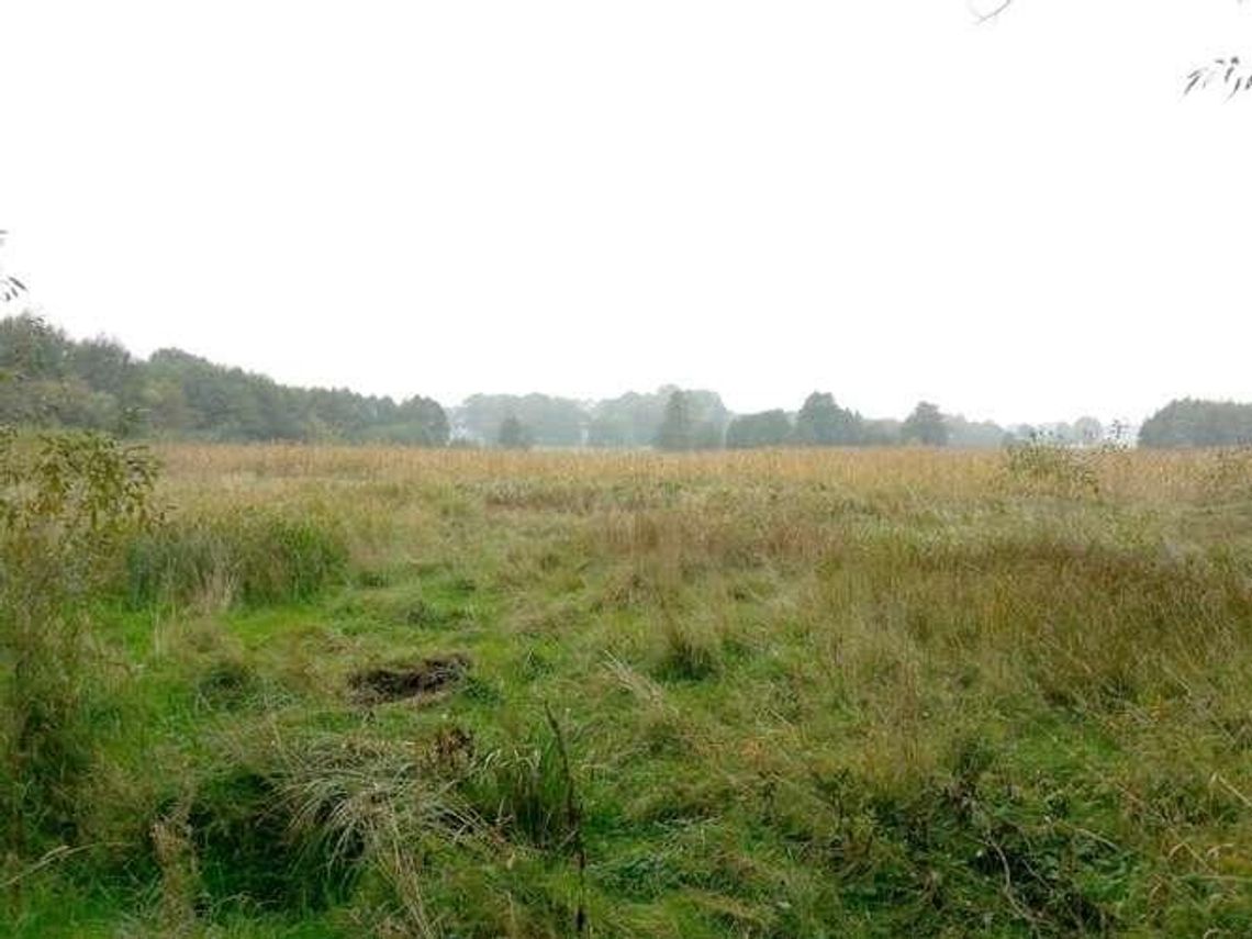 Co dalej z budową zalewu w Piaskach? Co dalej z budową zalewu w Piaskach?