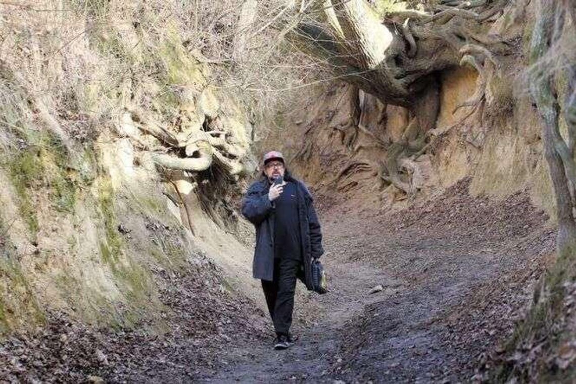 Co dalej z pomysłem wybrukowania wąwozu korzeniowego? Co dalej z pomysłem wybrukowania wąwozu korzeniowego?