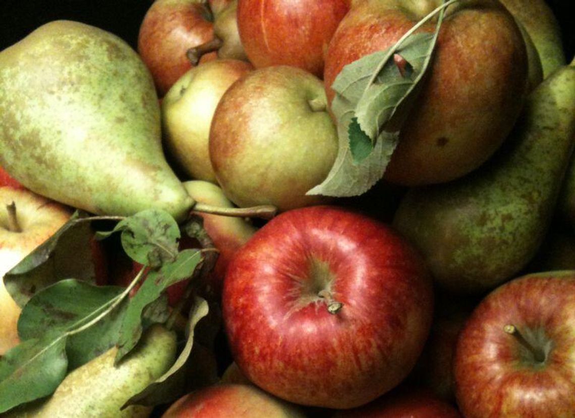 Co i za ile? Ceny na giełdzie w Elizówce Co i za ile? Ceny na giełdzie w Elizówce