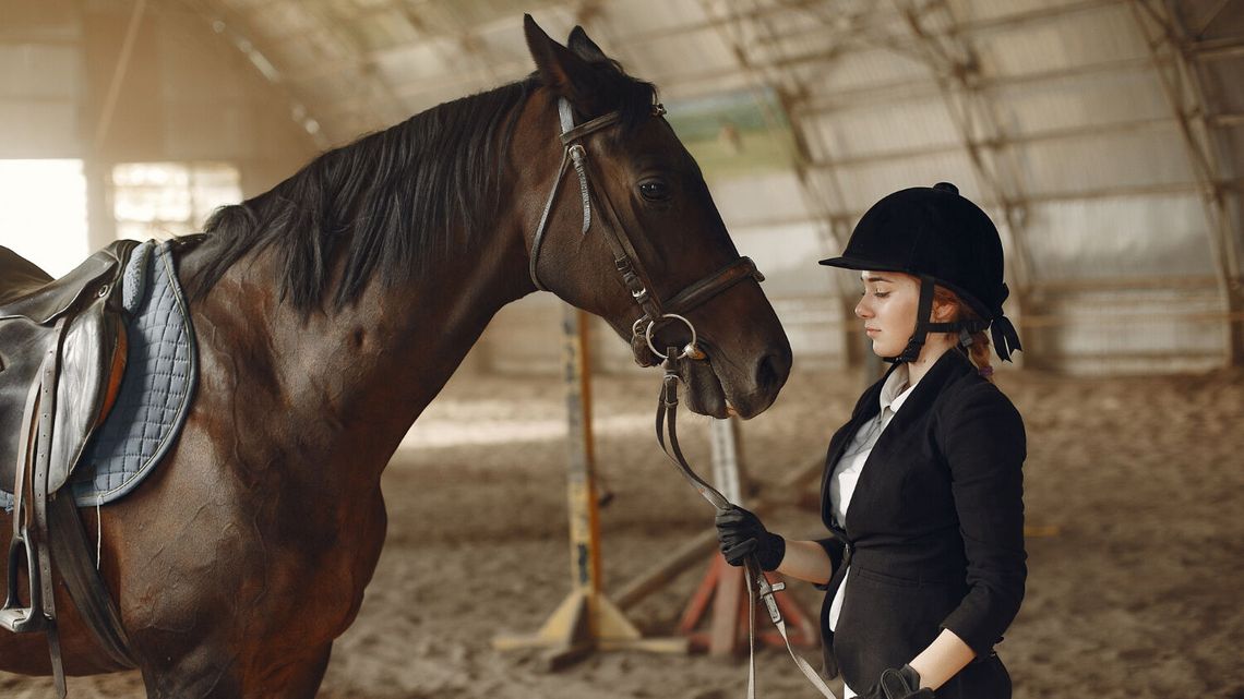 Co jest potrzebne do lonżowania?