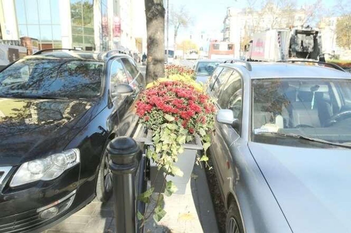 Co jest ważniejsze: samochody czy kwiaty? Kierowcy się skarżą. "Ubyło miejsc"