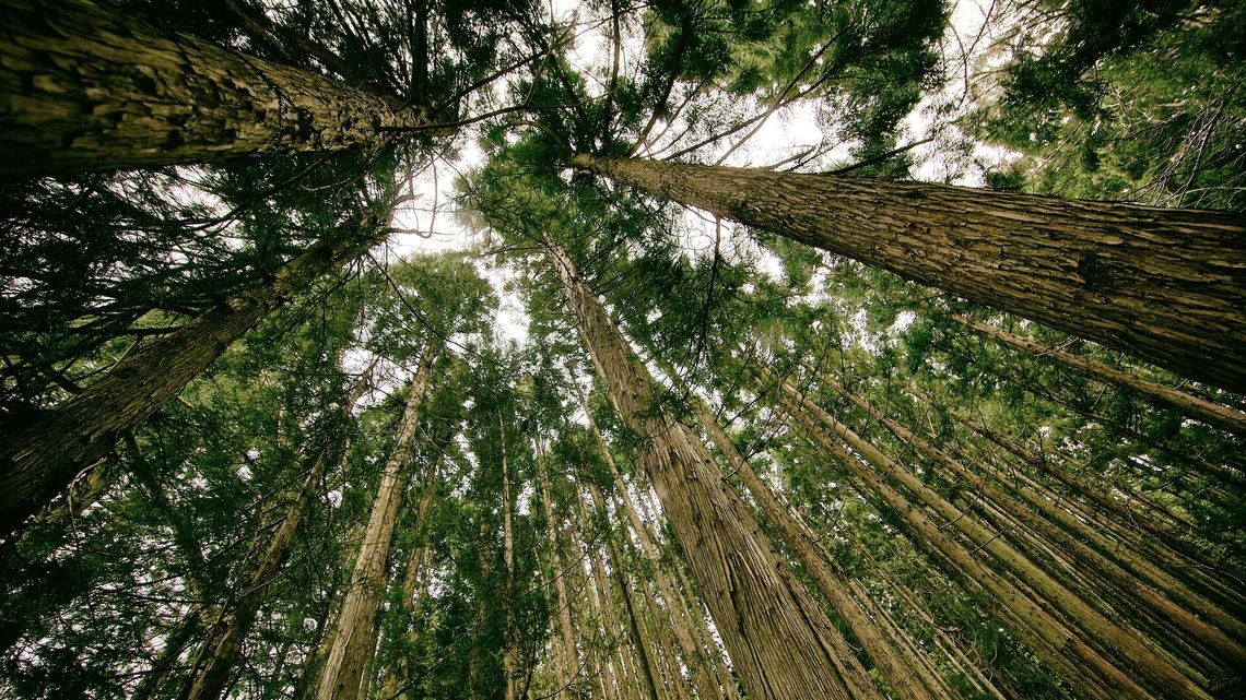 Co mogę zrobić, aby być bardziej eko? "Młodzi ludzie są bardzo zainteresowani ekologią"