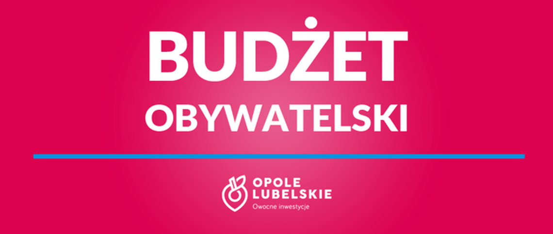 Co można zrobić za 100 tys. zł? Mieszkańcy Opola Lubelskiego zdecydują
