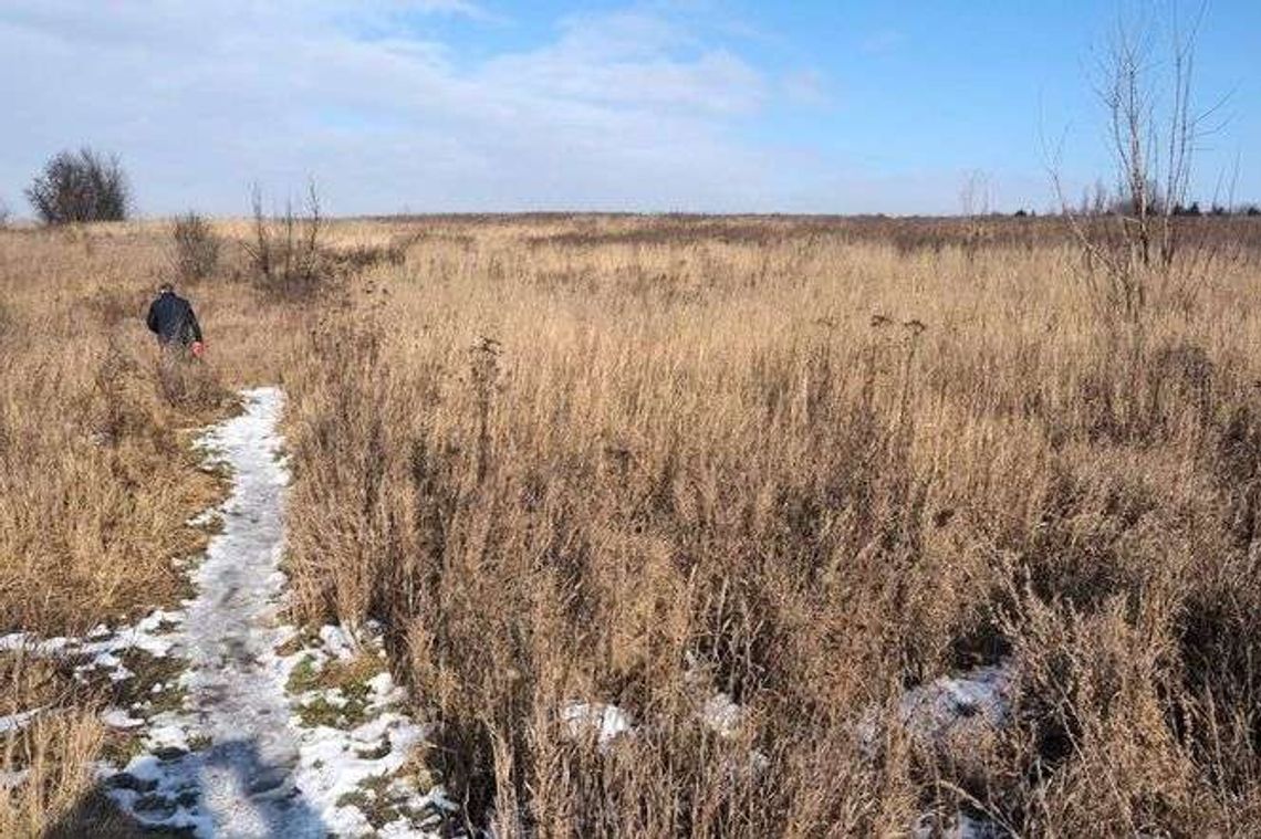 Co powstanie na górkach czechowskich? Radni robią krok w tył Co powstanie na górkach czechowskich? Radni robią krok w tył