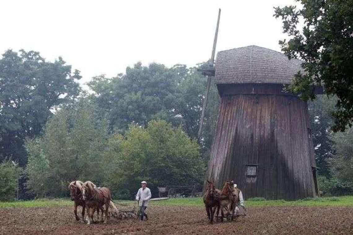 Co przed laty działo się jesienią na polu? Pokaz w skansenie
