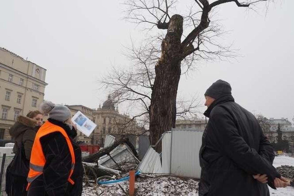 Co w miejsce Baobabu? Maszt z państwową flagą, może drzewo? Co w miejsce Baobabu? Maszt z państwową flagą, może drzewo?