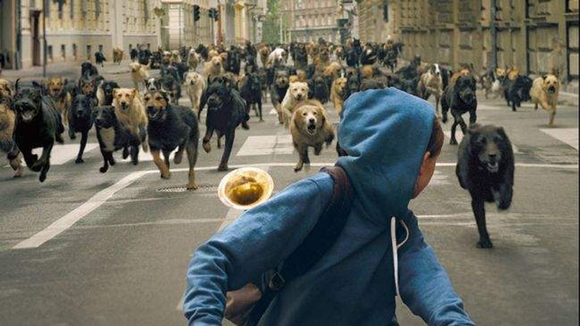 Co widział Wrocław? Nowe Horyzonty Tournée w CK