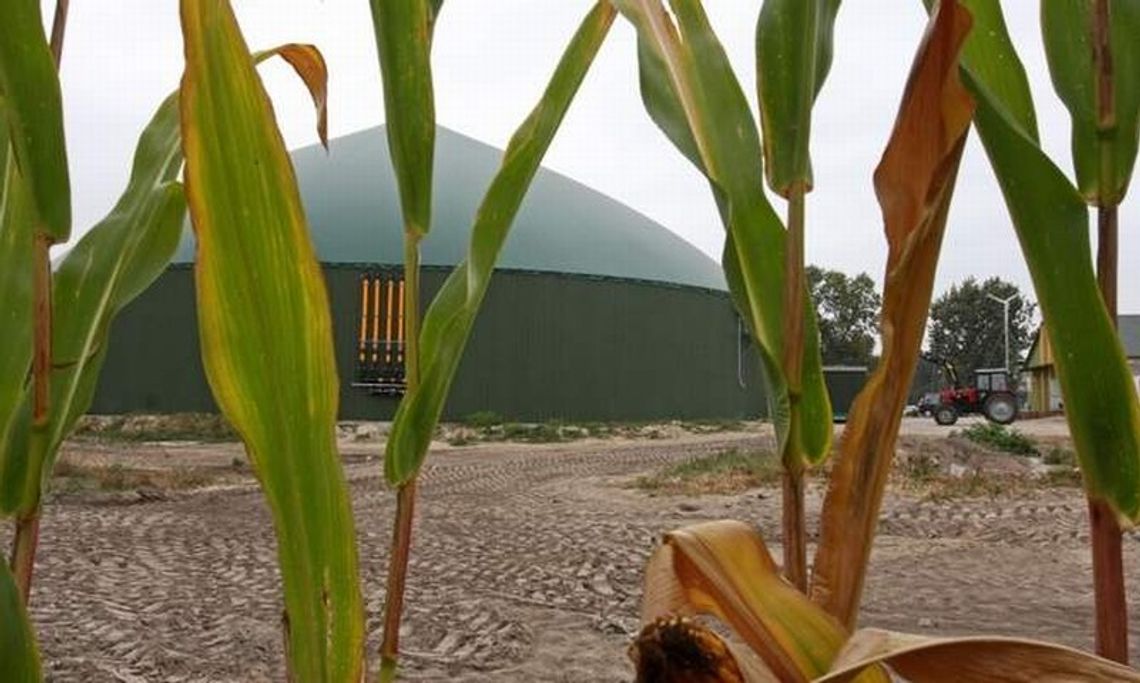 Co z budową bioelektrowni w Kraśniku? Radni chcą sprawdzić zapach