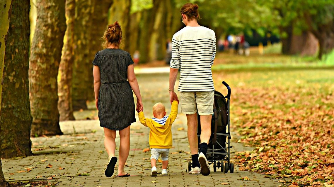 Co z ośrodkami adopcyjnymi w regionie? Po krytyce ROPS proponuje nowe rozwiązanie