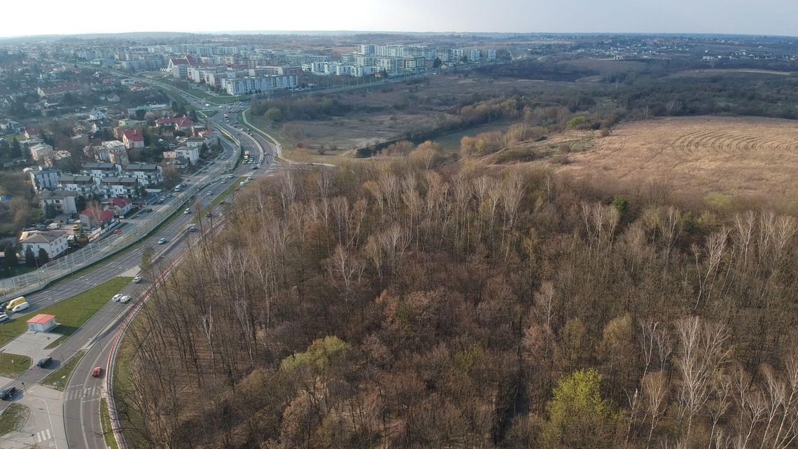 Co zrobią radni po referendum ws. górek czechowskich? Zapytaliśmy szefów klubów PiS i komitetu Żuka
