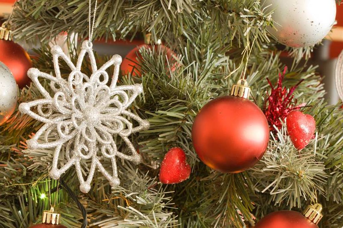 Co zrobić z choinką po świętach