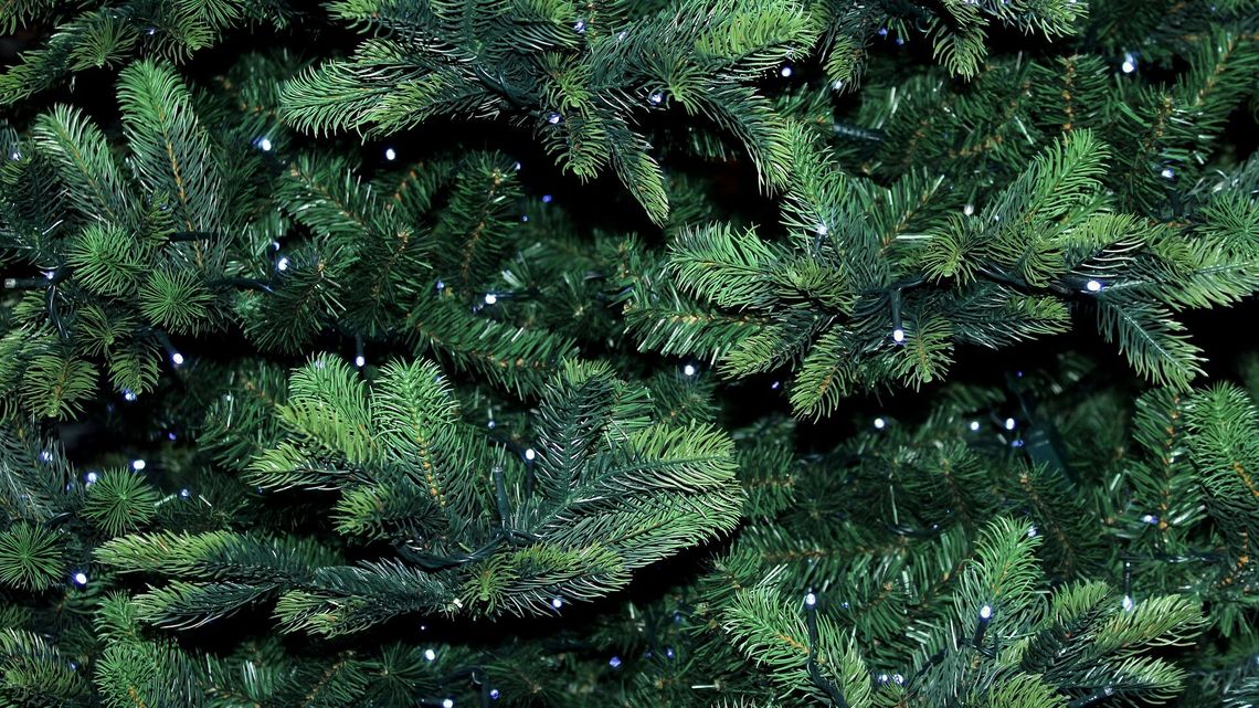 Co zrobić z choinką po świętach? Miejska spółka ma pomysł