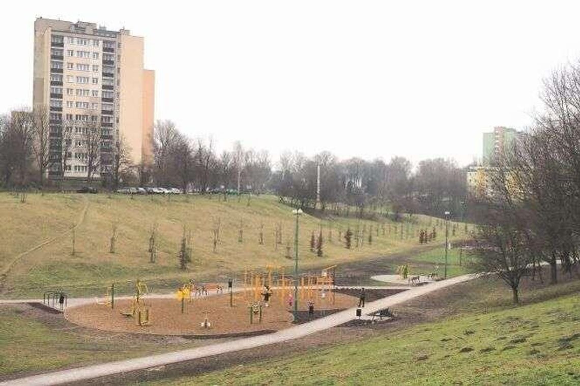 Co zrobić z tym wąwozem? Miasto szuka pomysłów na urządzenie Co zrobić z tym wąwozem? Miasto szuka pomysłów na urządzenie
